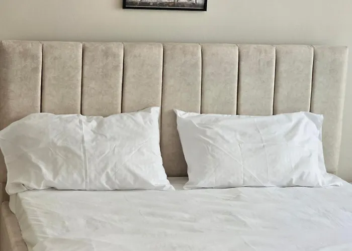 Koko Pepito * Lezhë